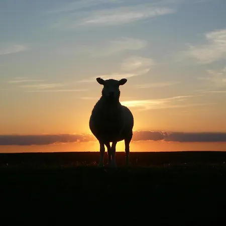 Nordsee-nest Ochtersum