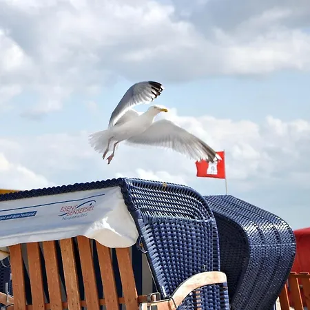 Apartment Nordsee-nest *