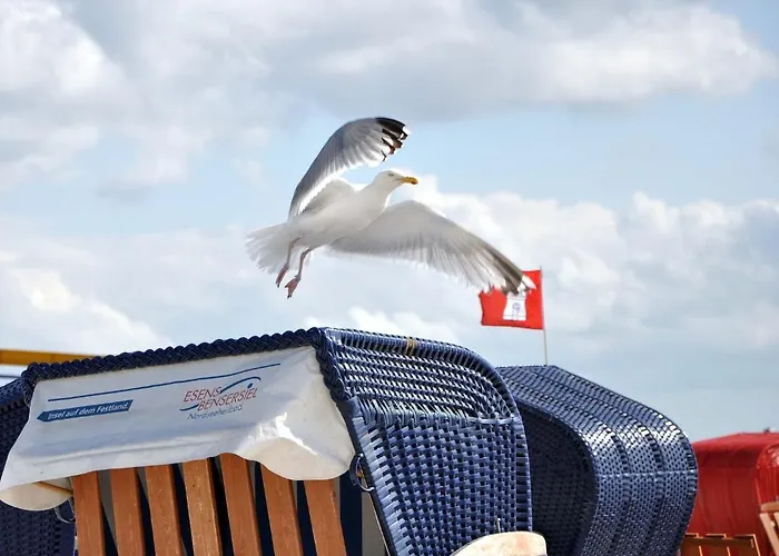 Apartman Nordsee-nest *